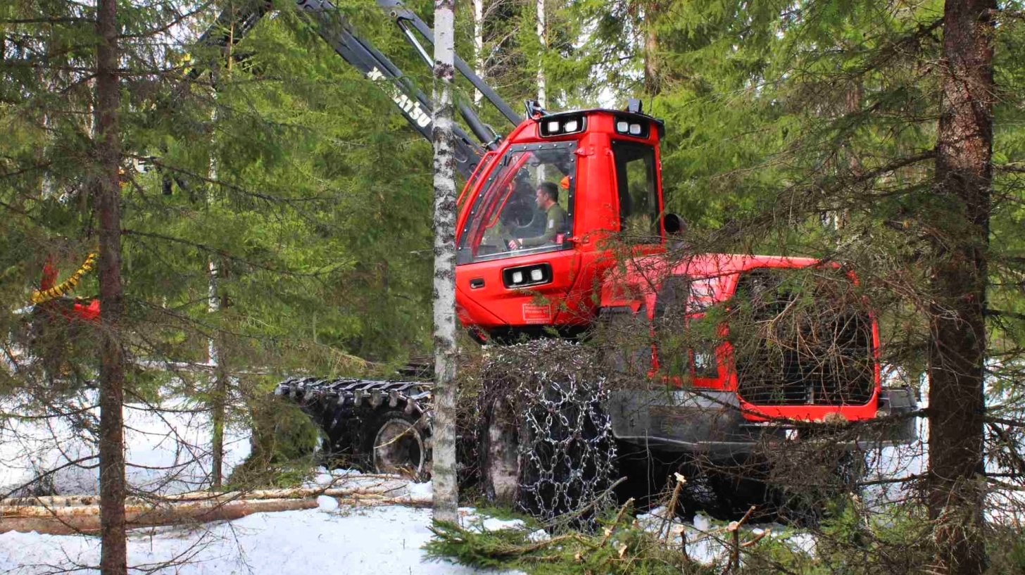 Savotat Leimikkoseuranta